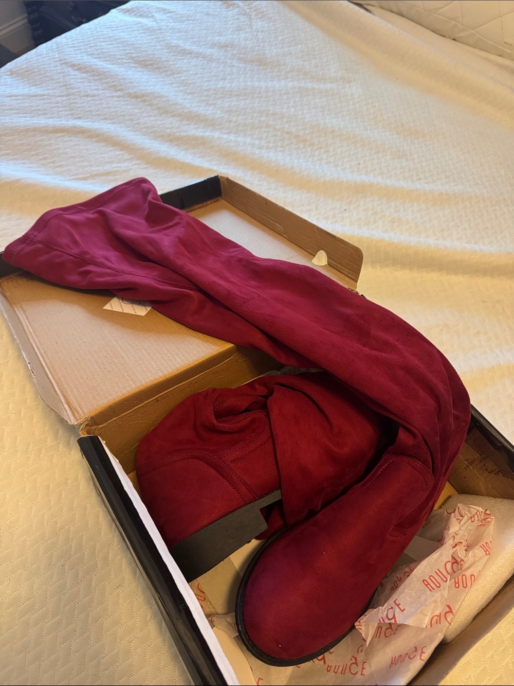 Rouge! Women's Over-the-Knee Boots in Burgundy